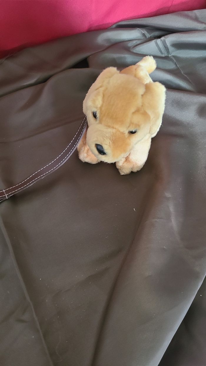 peluche chiot beige collier laisse keel toys - photo numéro 4