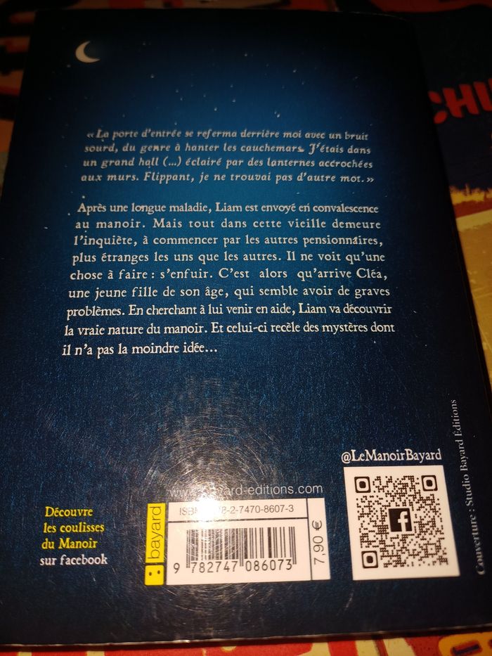 Le manoir - photo numéro 2