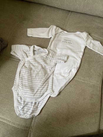 Lot 2 bodies