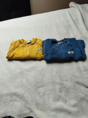 Vestes