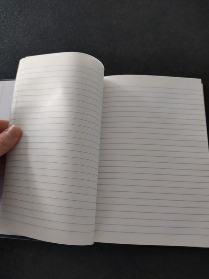 Carnet neuf - photo numéro 2