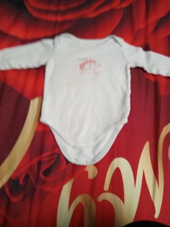 Bodies manche longue