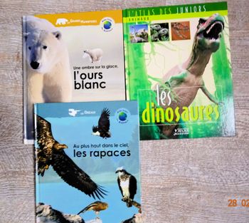 lot 3 Atlas junior des animaux dinosaures,rapaces,ours blanc