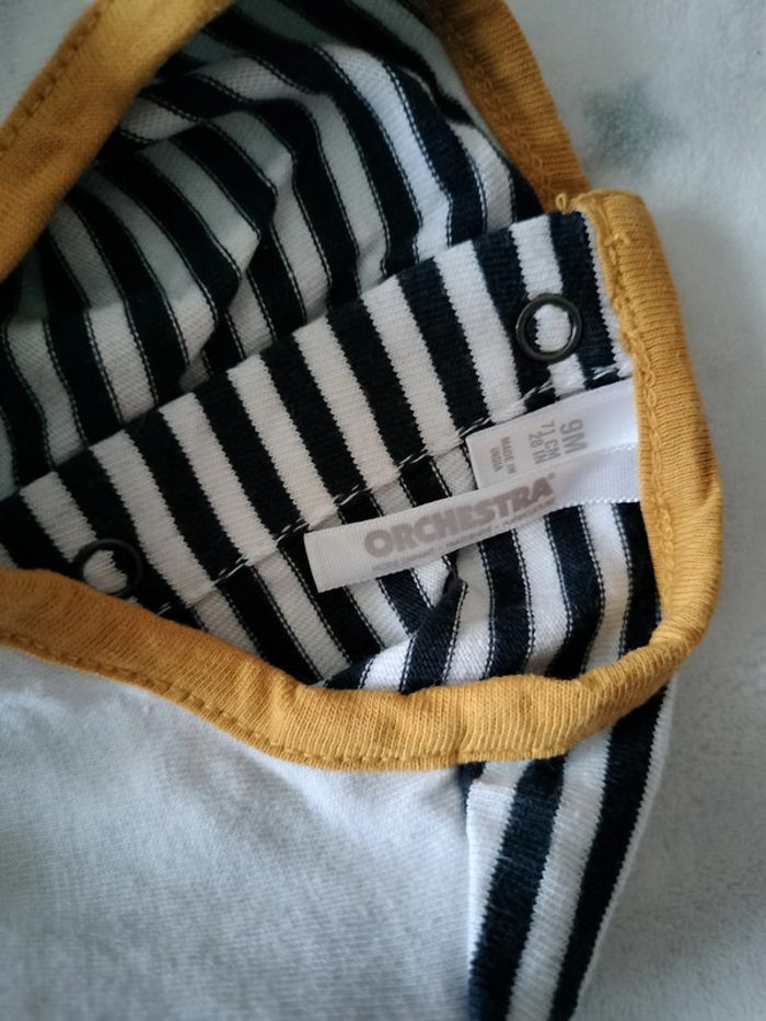 Ensemble tigre - photo numéro 7