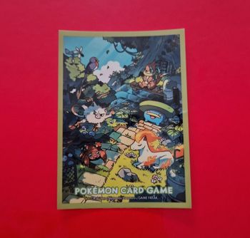 1 sleeve pokemon