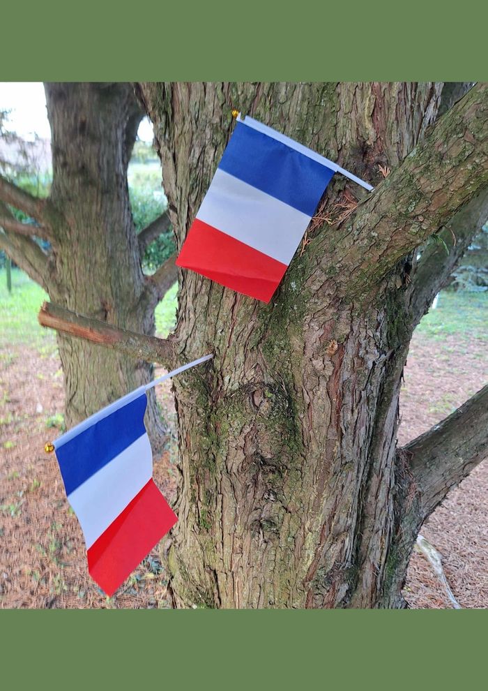 Pack Drapeaux France 1 Grand Format + 2 Mini Drapeaux à Main - photo numéro 7