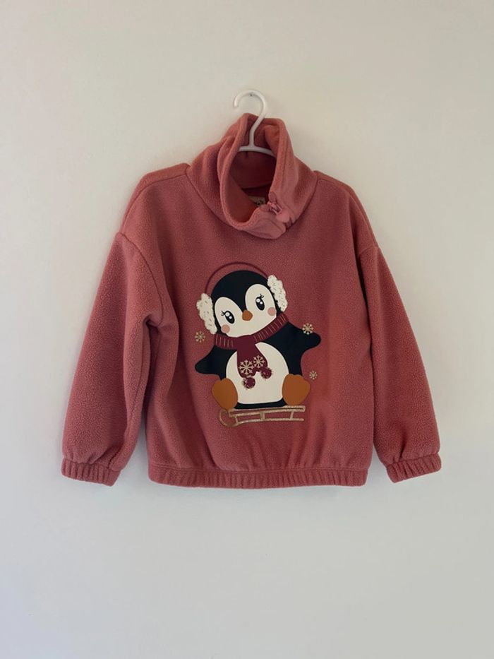 Pull polaire