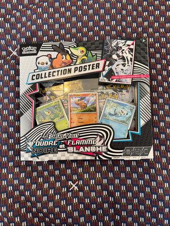 Coffret Poster Pokémon Ev10.5