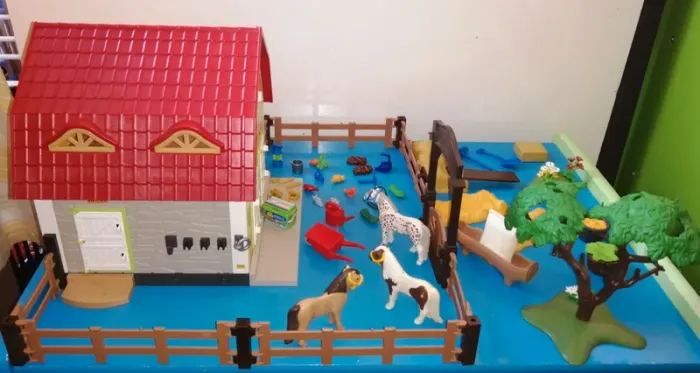 Thème* centre équestre - photo numéro 3