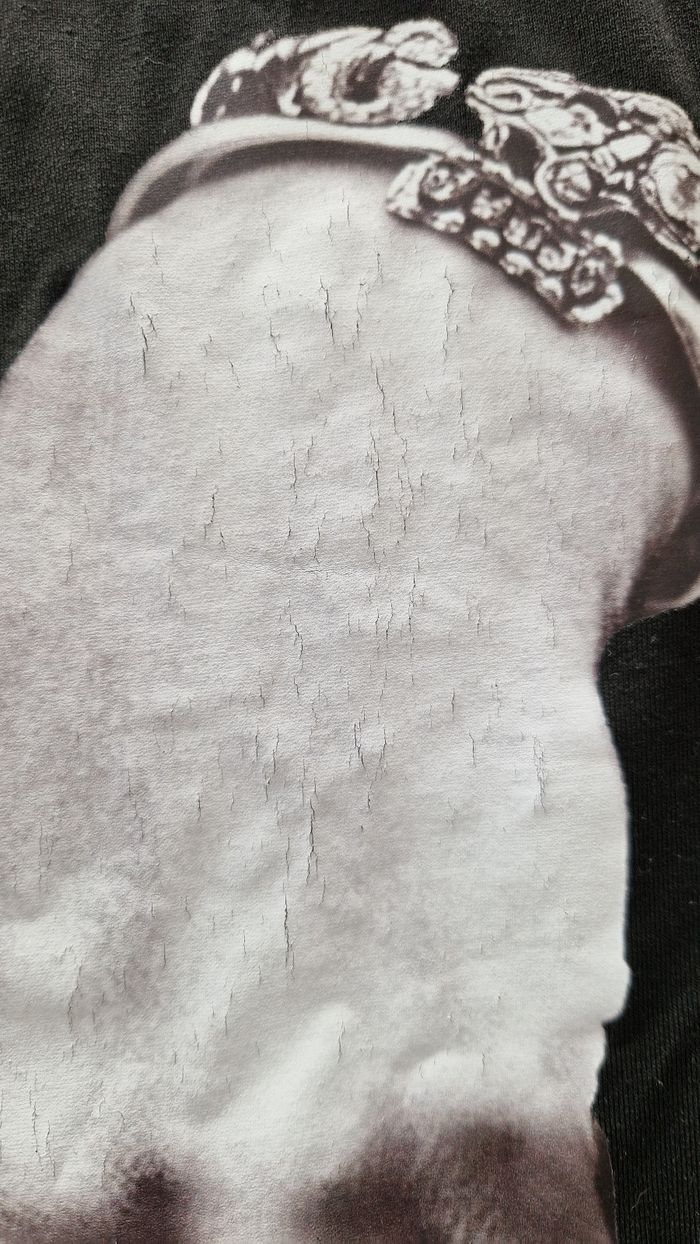 Tee-shirt - photo numéro 2