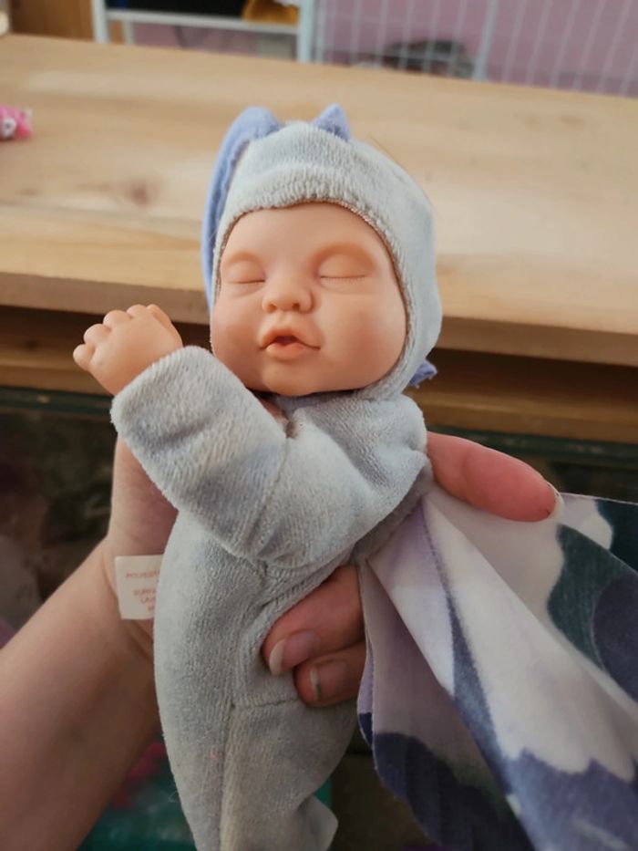 Bébé papillon - photo numéro 7