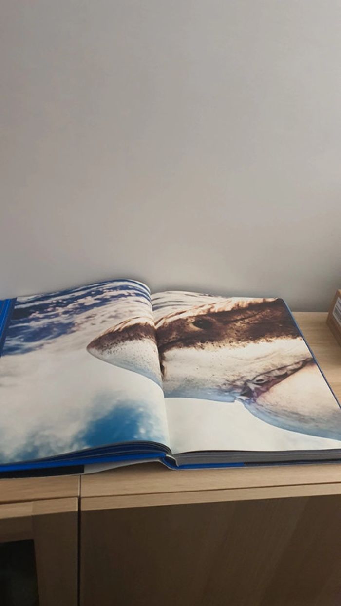 Livre Requins Michel Muller Taschen - photo numéro 7