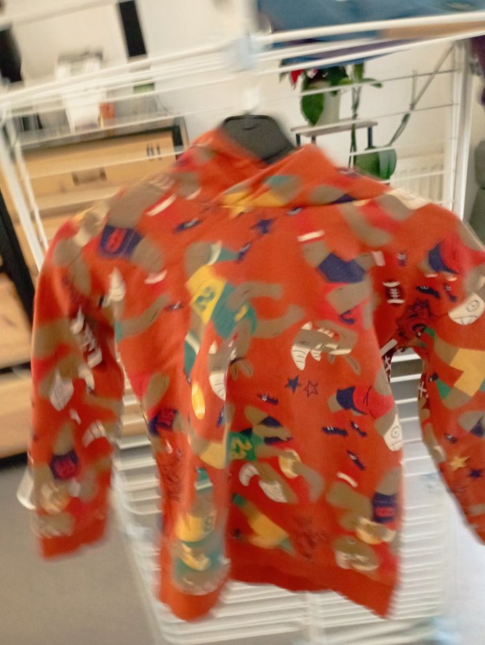 Vends sweat capuche DPAM - photo numéro 2