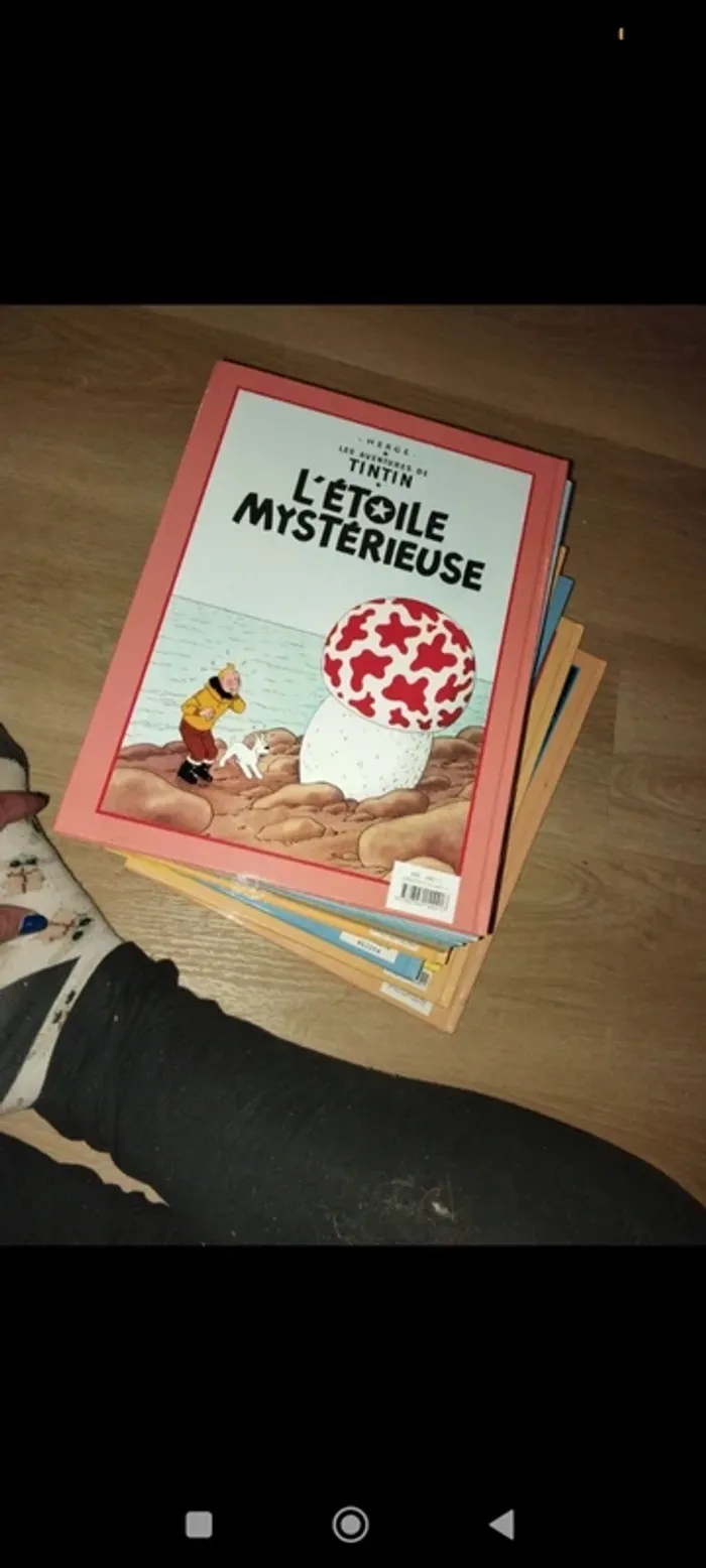 Tintin - photo numéro 4