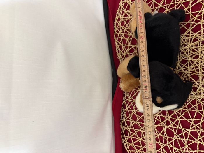 doudou chien bouvier bernois ami plush - photo numéro 5