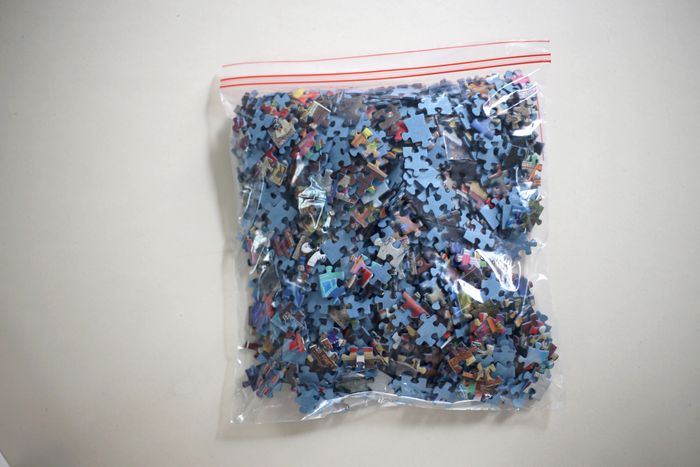 Puzzle 1000 pièces Ravensburger "Family Vacation" - photo numéro 8