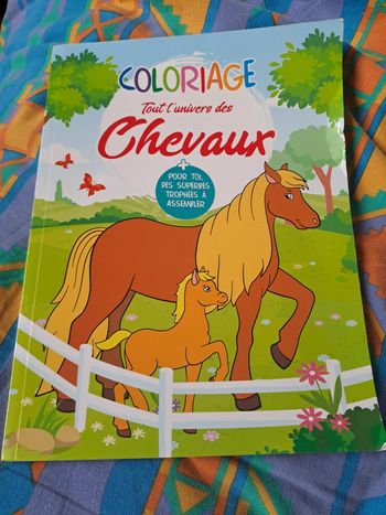 Coloriage tout l'univers des chevaux NEUFlivre de coloriage neuf.