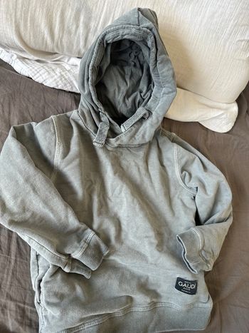 Gaudi sweat 3 ans
