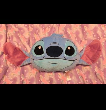 Coussin Stitch 