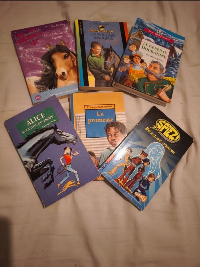 Lot livres sur les chevaux et autres enfants ado - photo numéro 2