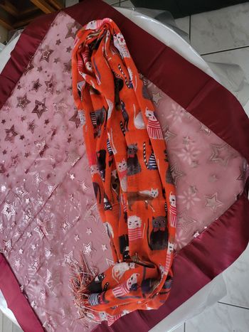 Écharpe de chats 🐱