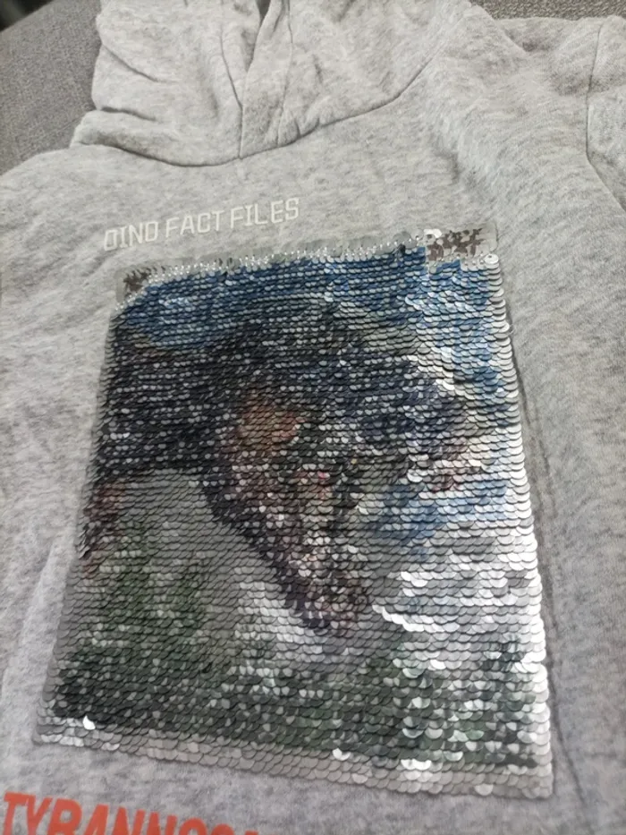 Sweat à capuche - photo numéro 3