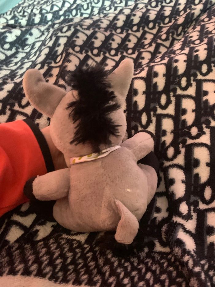 Donne peluche - photo numéro 2