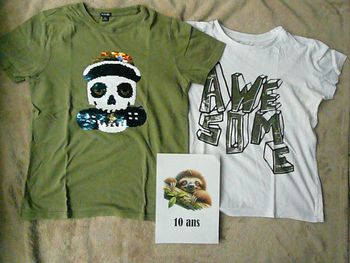 Lot de 2 tee-shirts garçon 10 ans (n°36)
