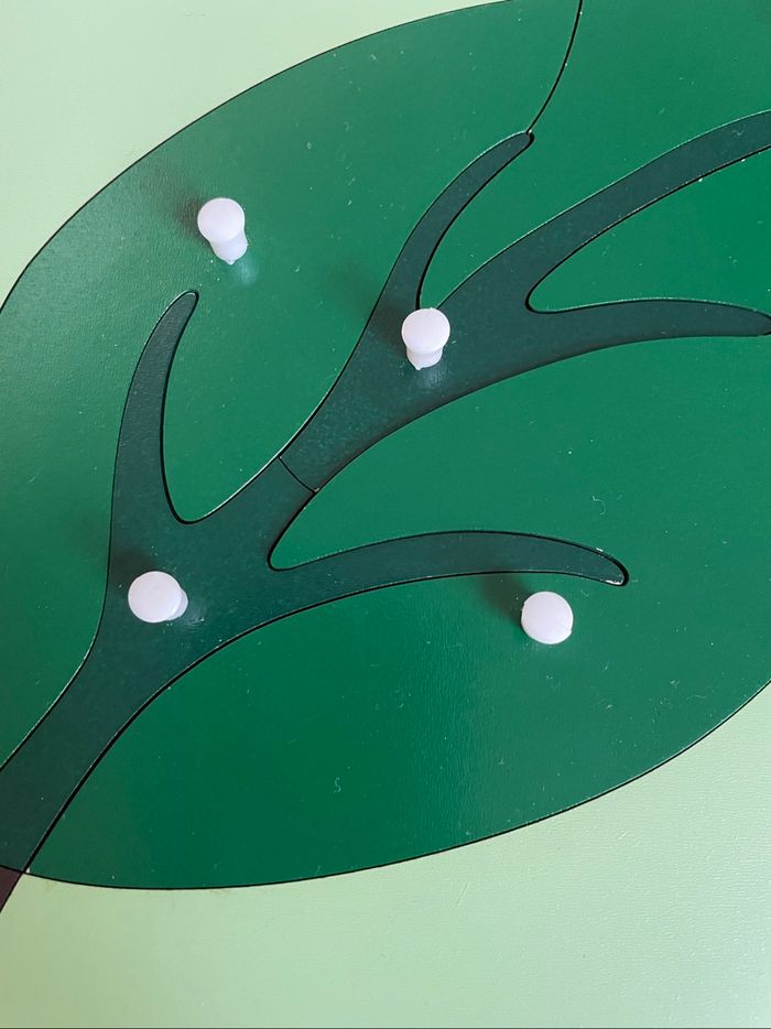 Puzzle Botanique Montessori : la feuille - photo numéro 3