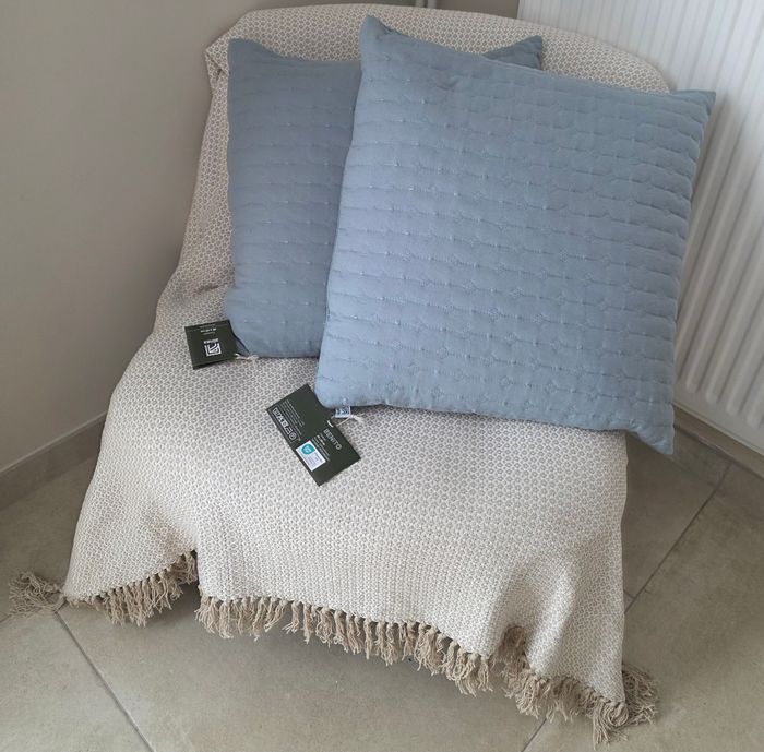Lot de 2 coussins neufs Benito Alinéa