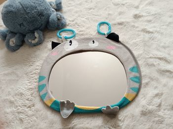 Miroir de voiture kakiblin