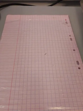 Feuilles de classeur