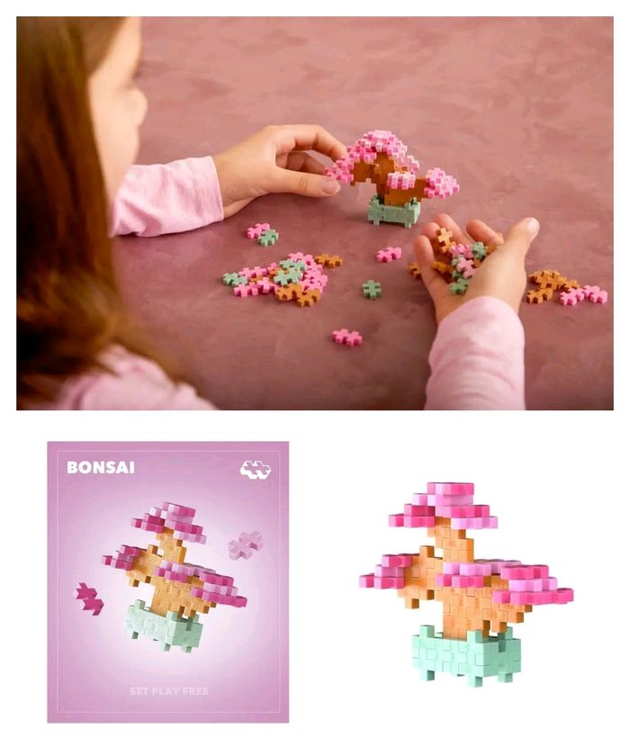 Mini bonsaï rose - photo numéro 2