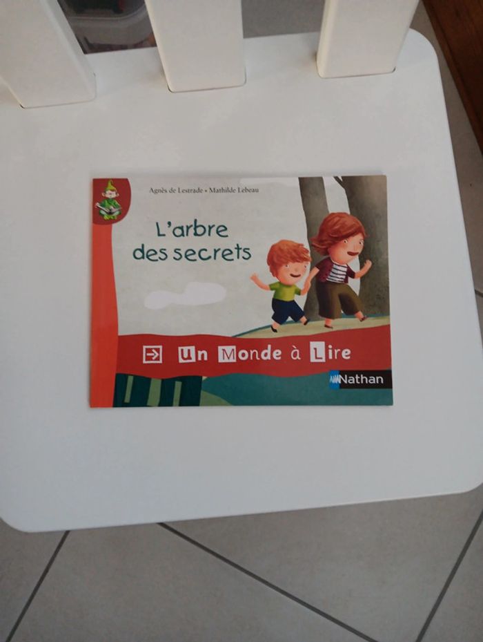 Lot de 2 livres pour jeunes lecteurs - photo numéro 3