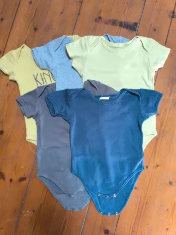 Cinq bodies - 24 mois