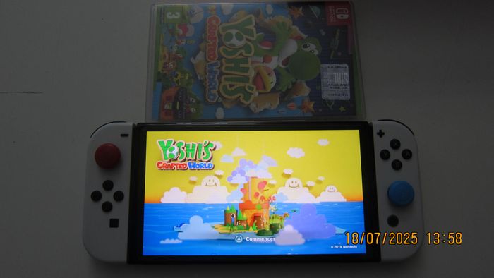 nintendo switch oled +256go sacoche manette pro yoshi crafted mario & luigi looney tunes - photo numéro 6
