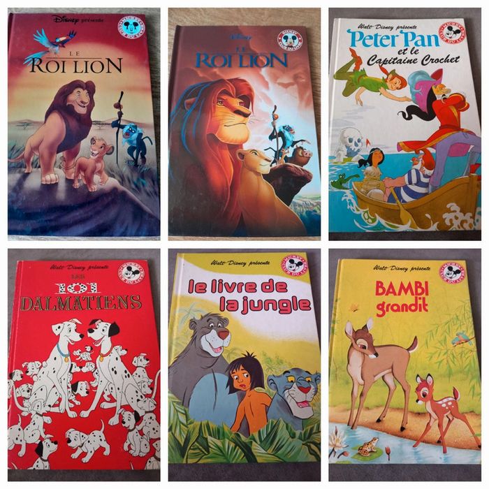 Lot livre disney - photo numéro 2