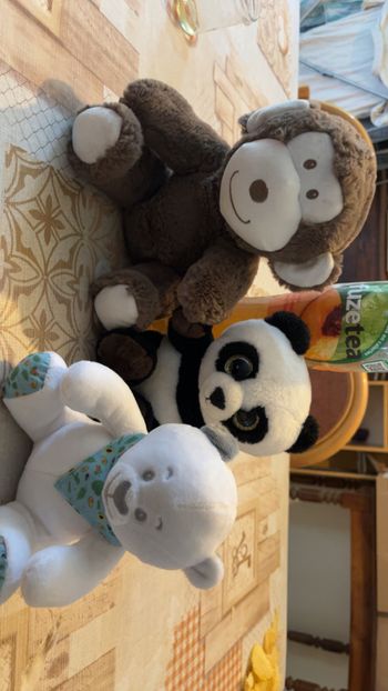 Peluche