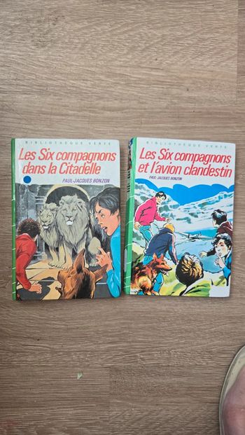 #lot 6 compagnons
