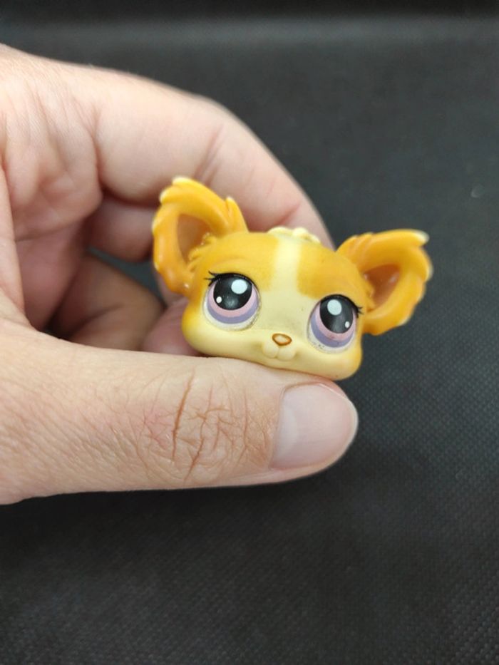 Littlest Petshop LPS dog chien papillon 96 chihuahua hasbro #geektradelpschien - photo numéro 9