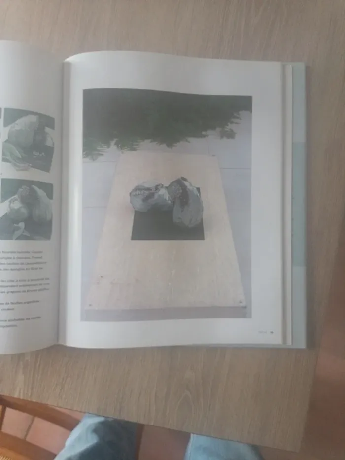 Fleurs Zen - photo numéro 7