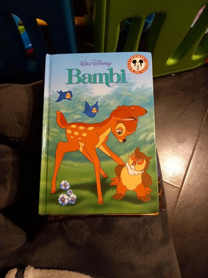 Lot de 5 livres Disney - photo numéro 6