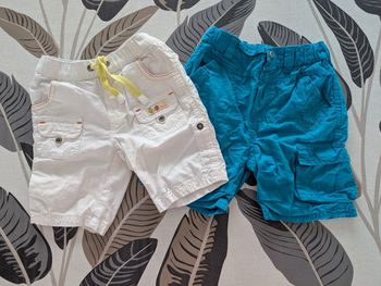 Lot 2 shorts