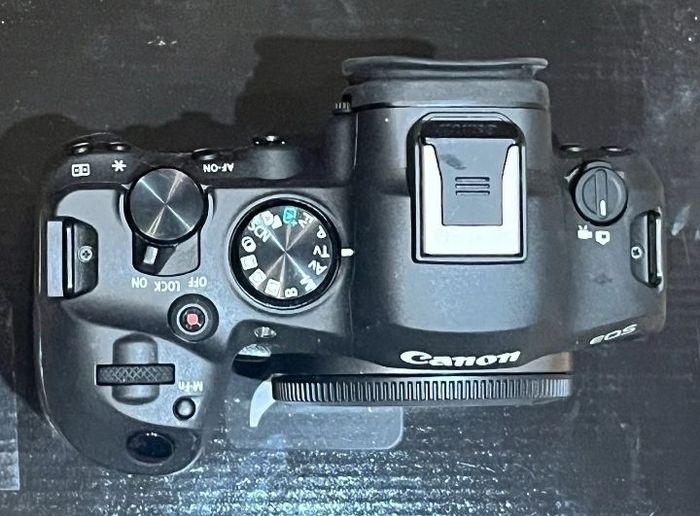 Canon EOS R6 Mark - photo numéro 7