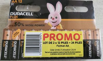 24 piles DURACELL PLUS