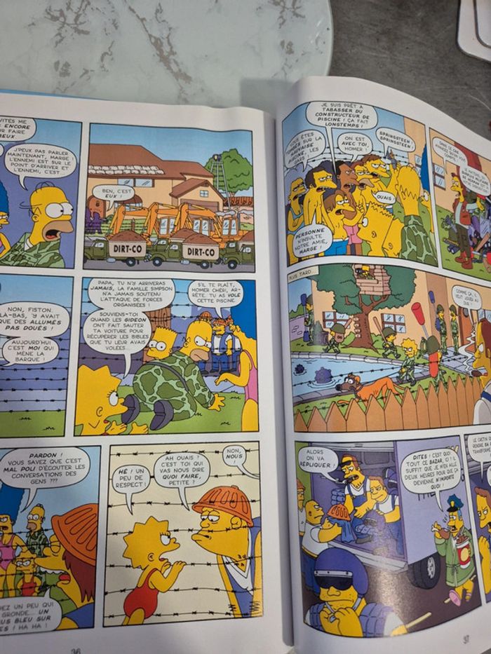 les Simpson dossier secrets - photo numéro 5