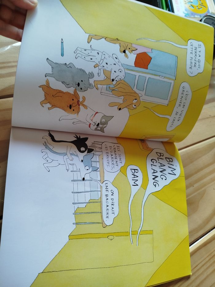 Mystère dans le grenier - photo numéro 3