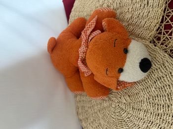 doudou chien  jemini orange