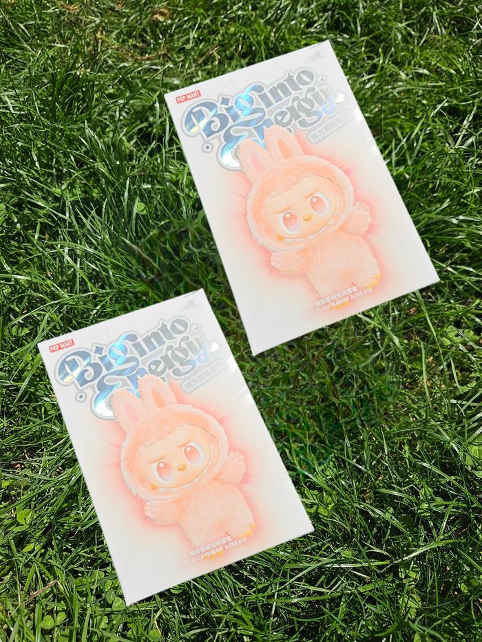 Lot 2 Box Labubu – Big Into Energy PopMart