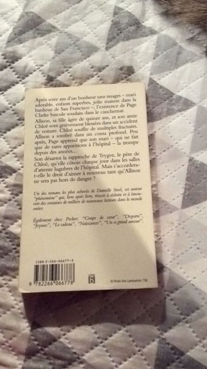 #Accident par Danielle Stell - photo numéro 4